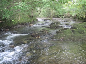 The River Sprint, Cumbria