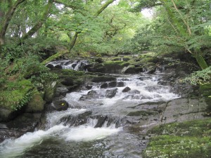 The River Sprint, Cumbria